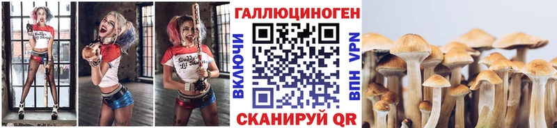 blacksprut ссылки  Радужный  Галлюциногенные грибы GOLDEN TEACHER 
